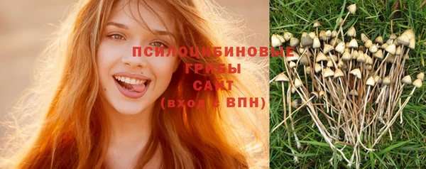 а пвп мука Армянск